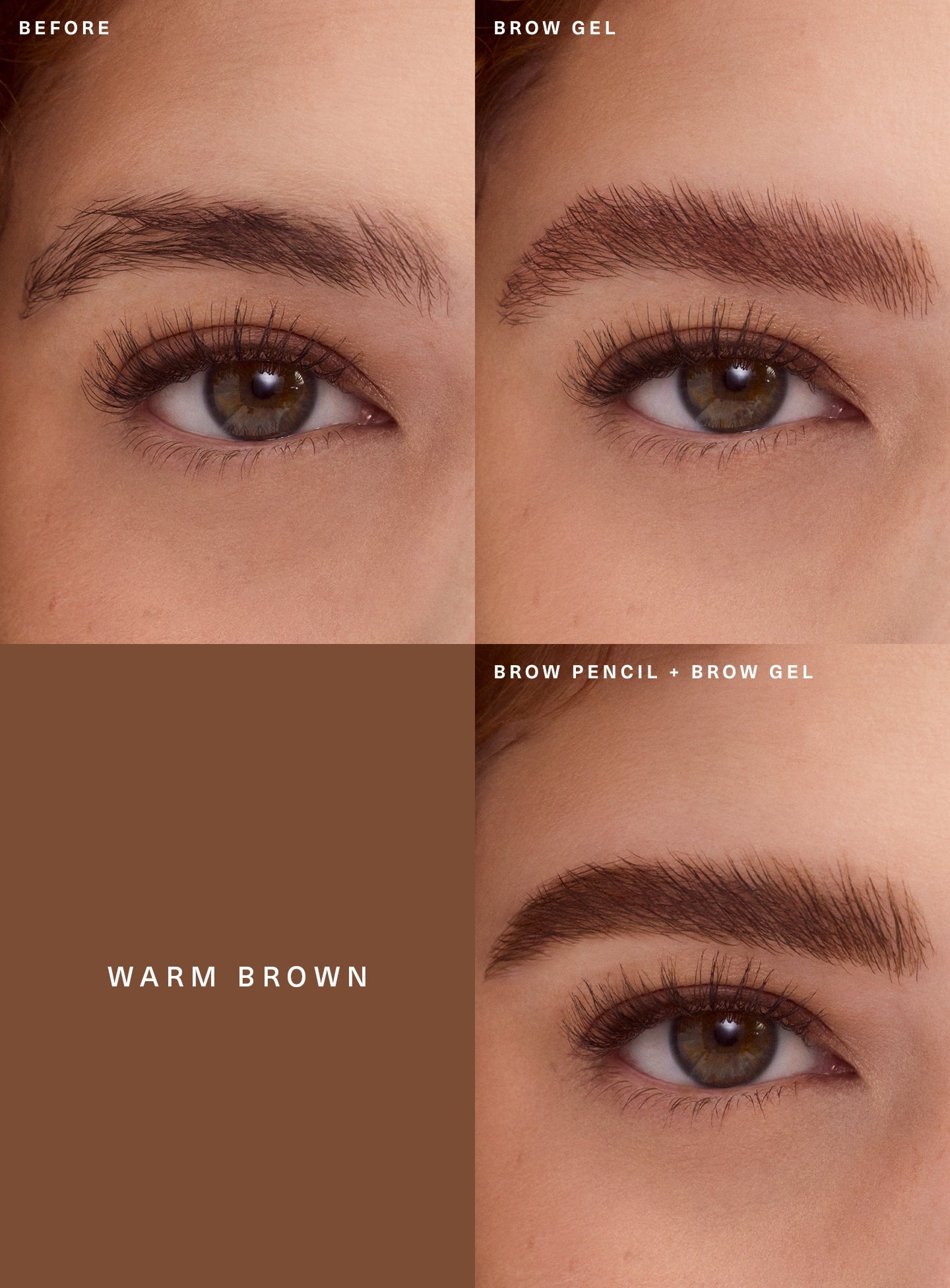 Warm Brown