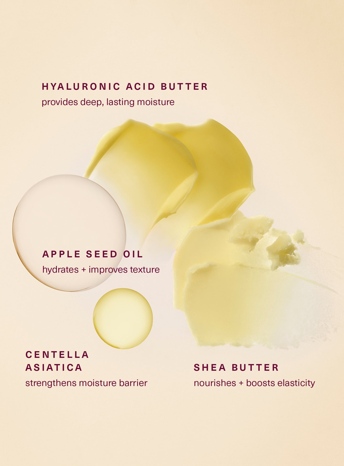 Rare Beauty Find Comfort Lip Butter ingredients hyaluronic acid butter, apple seed oil, centella asiatica, and shea butter