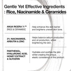 Rice Ceramide 7 Hydrating Barrier Serum - Image 6