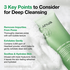Heartleaf Quercetinol Pore Deep Cleansing Foam - Image 9