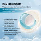 Barrier Reboot Daily Moisturizer - Image 3