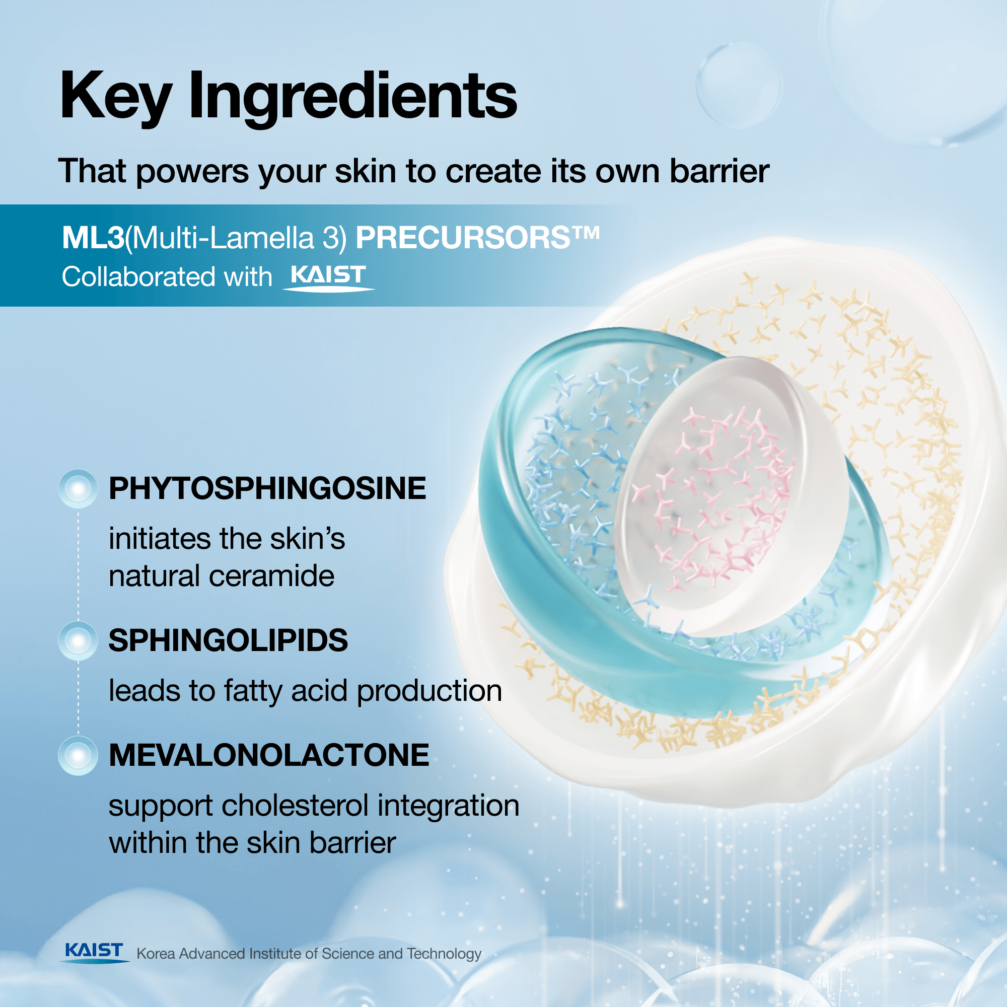 Barrier Reboot Daily Moisturizer - Image 3