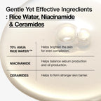 Rice 70 Glow Milky Toner - Image 6